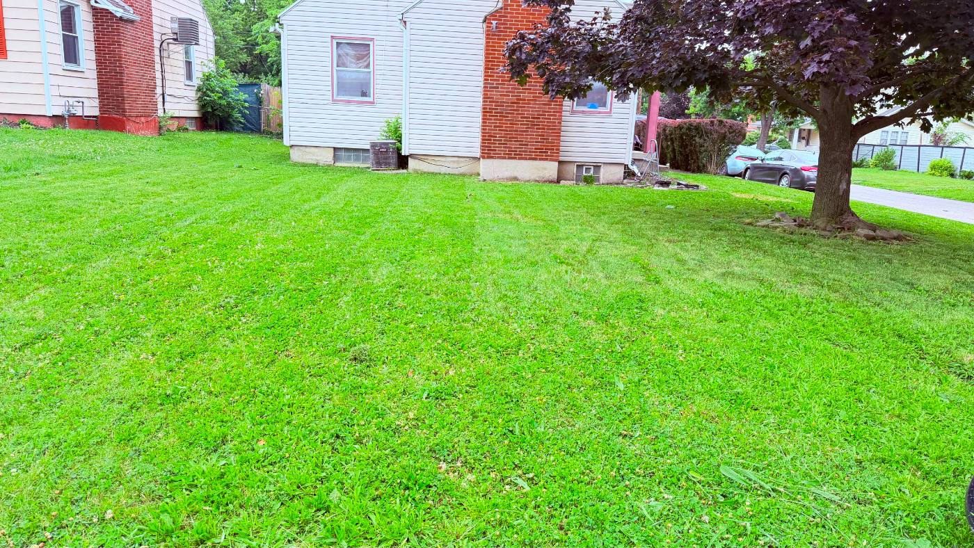 Weekly lawn cutting service — freshly mowed and edged residential front yard